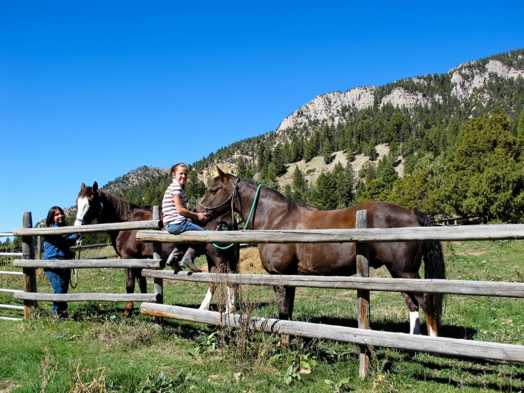 Photo by Clea G. Hall