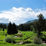 Garden Porch View