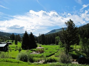 Garden Porch View